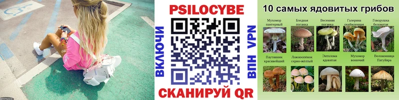 Галлюциногенные грибы Psilocybine cubensis Киров